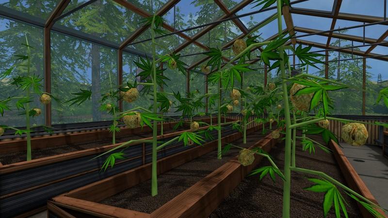 Sims 2 weed mod