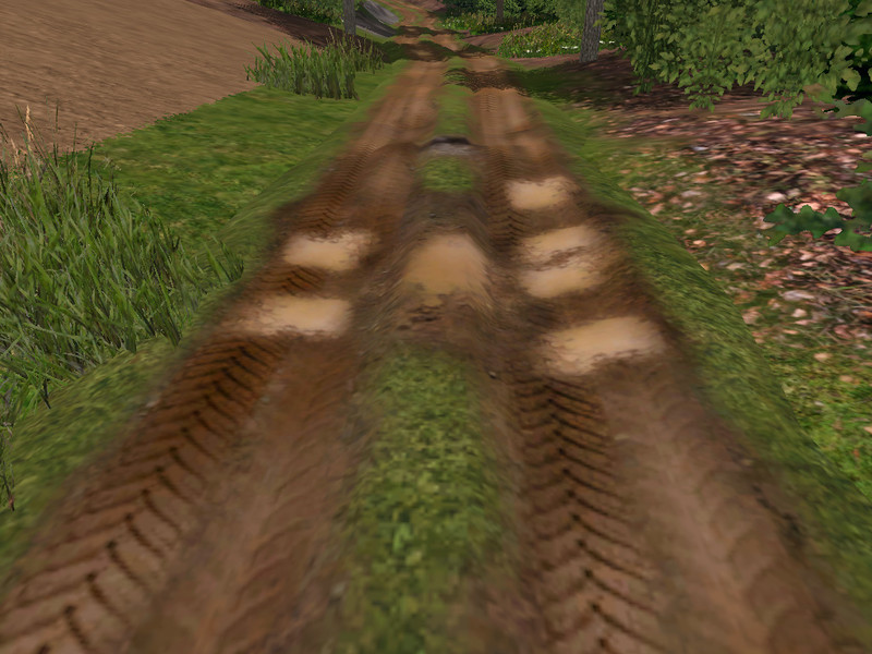 Minecraft dirt road