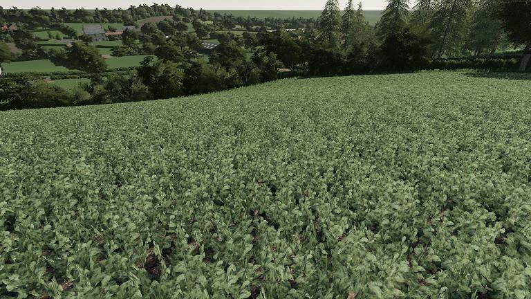 FS19 Realistic Cereal and Canola Crop Densities v1.0 - FS 19 Textures Mod D...