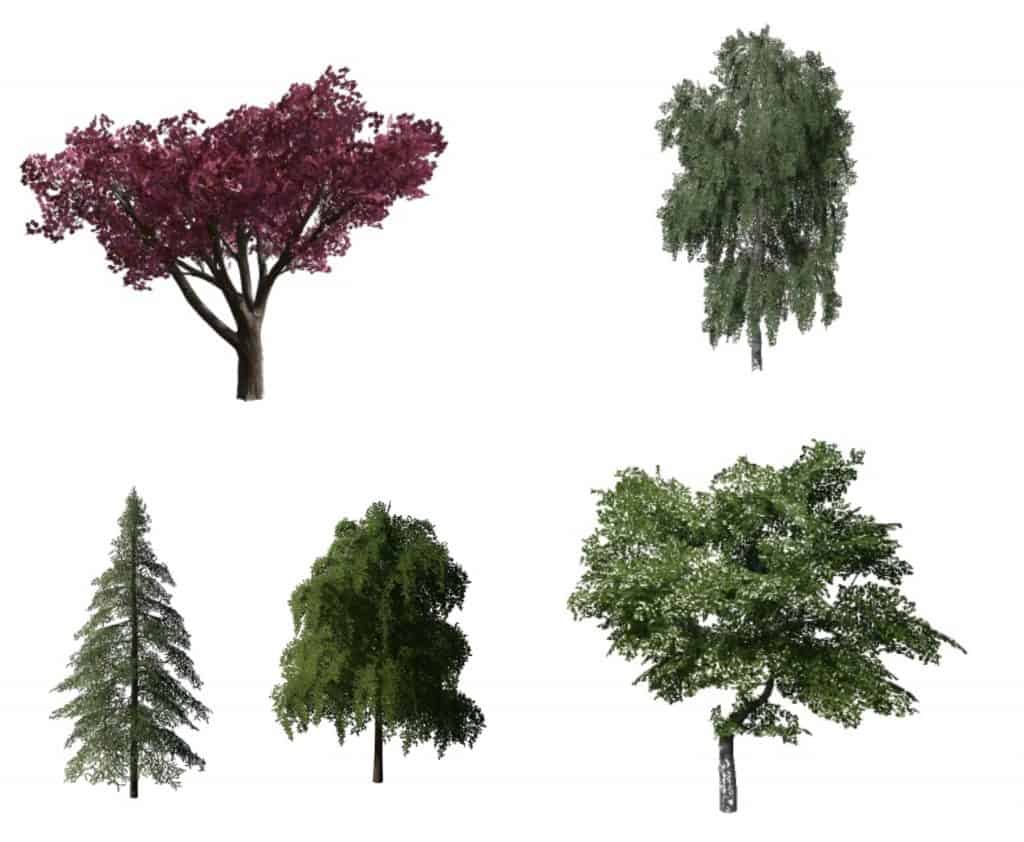 Tree Work Fs19 FS19 More Trees v1.0.0.0 - FS 19 Objects Mod Download