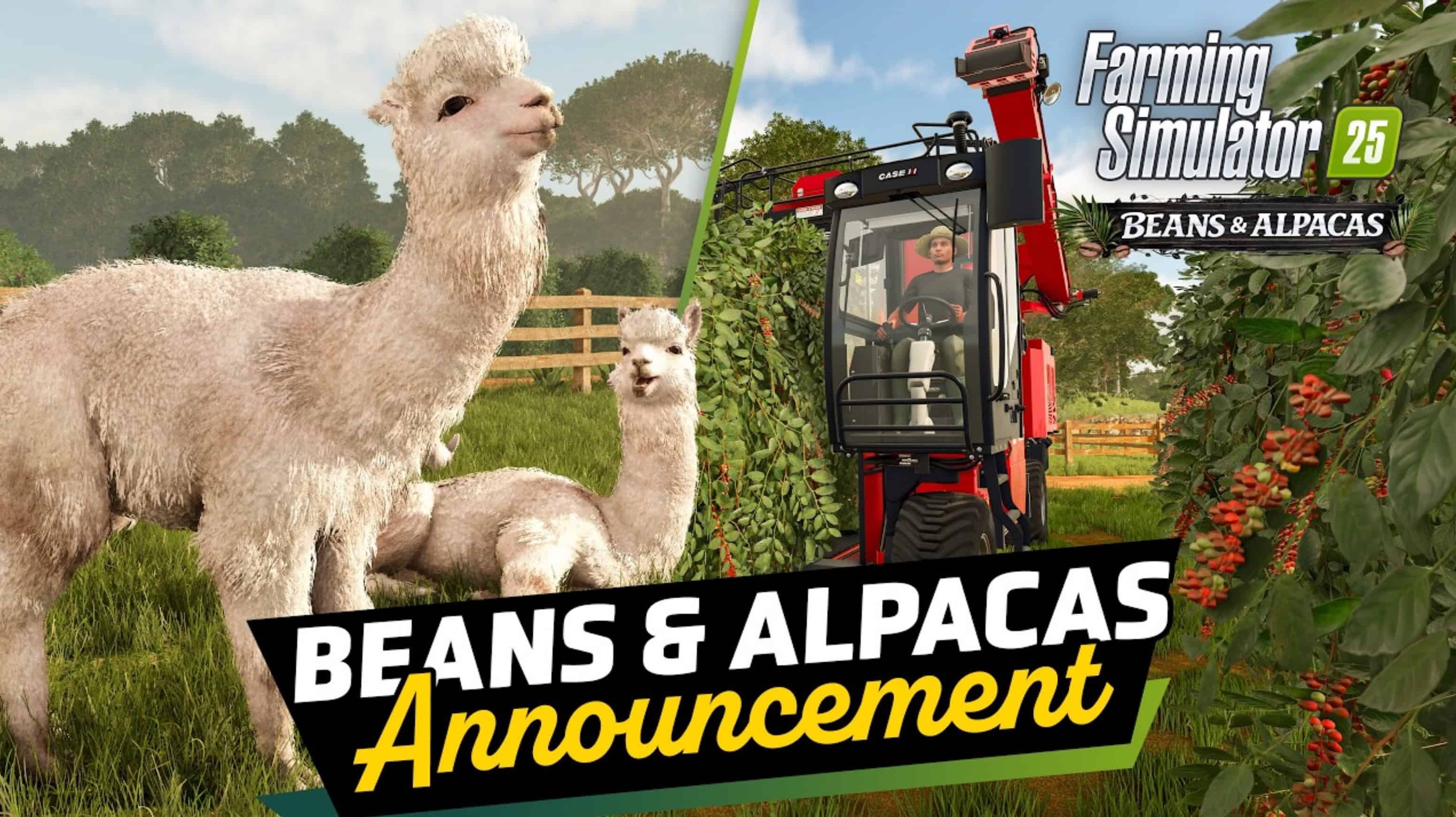 Beans & Alpacas on October 27